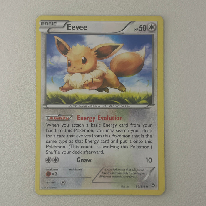 Eevee - XY—Furious Fists 80/111