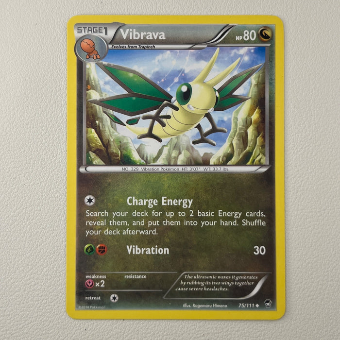 Vibrava - XY—Furious Fists 75/111