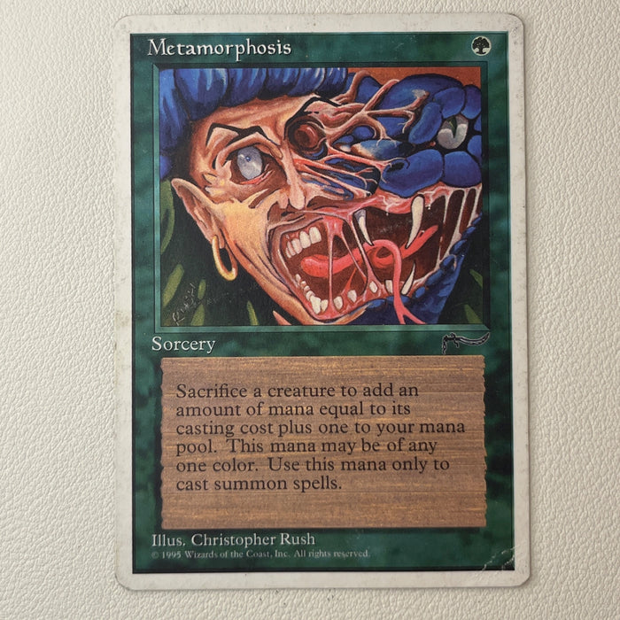 Metamorphosis - Chronicles 66