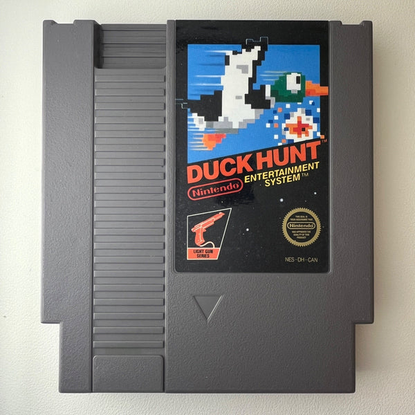 Duck Hunt game photo 1