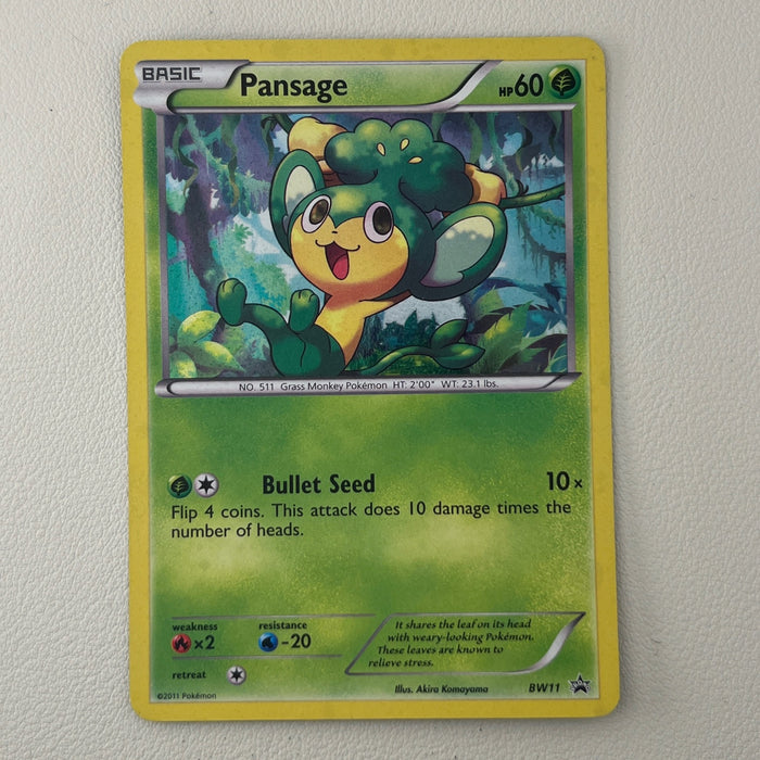 Pansage - Holo - BW Black Star Promos BW11