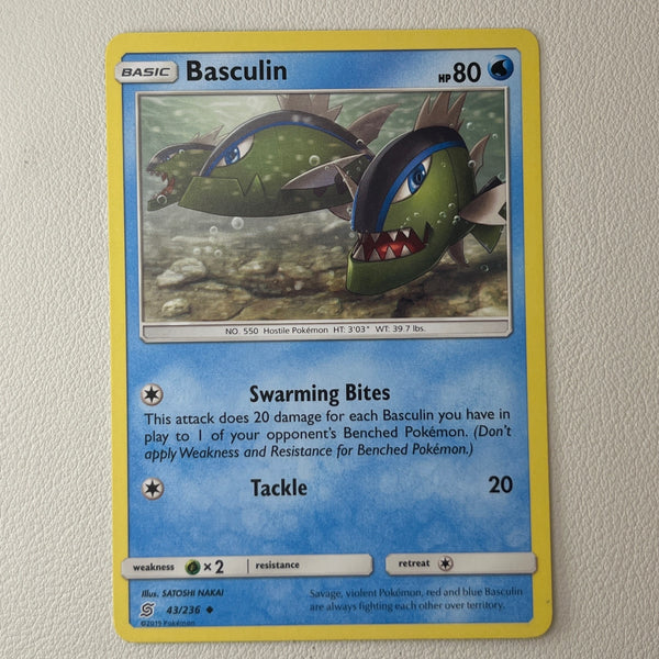 pkmn-ness-bulk01-0038-04 front