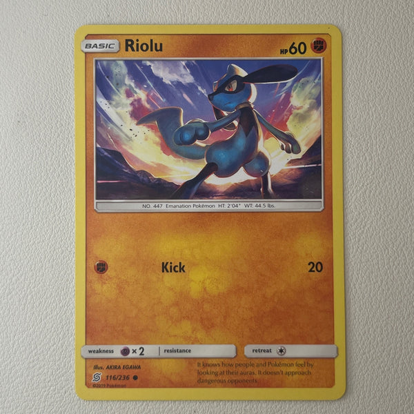 pkmn-ness-bulk01-0040-07 front
