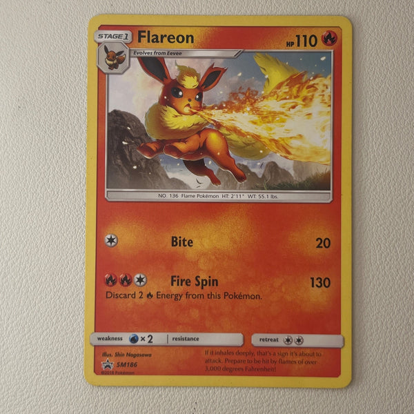 pkmn-ness-bulk01-0042-31 front