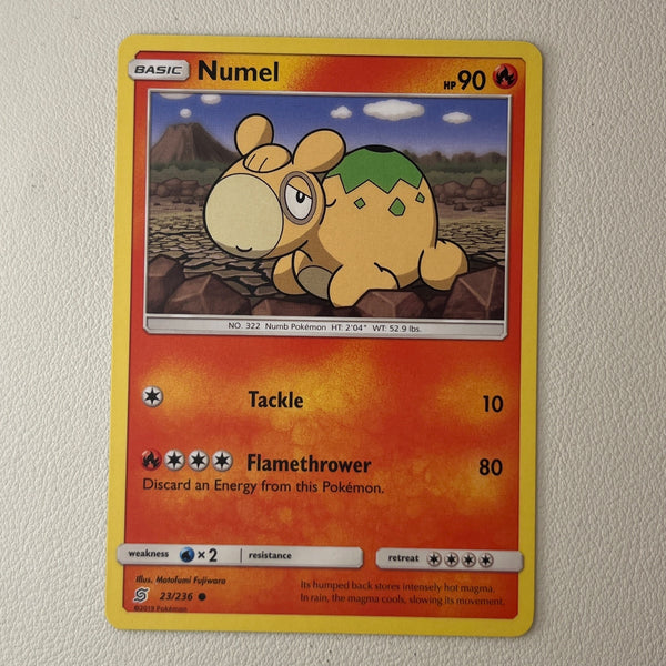 pkmn-ness-bulk01-0039-31 front
