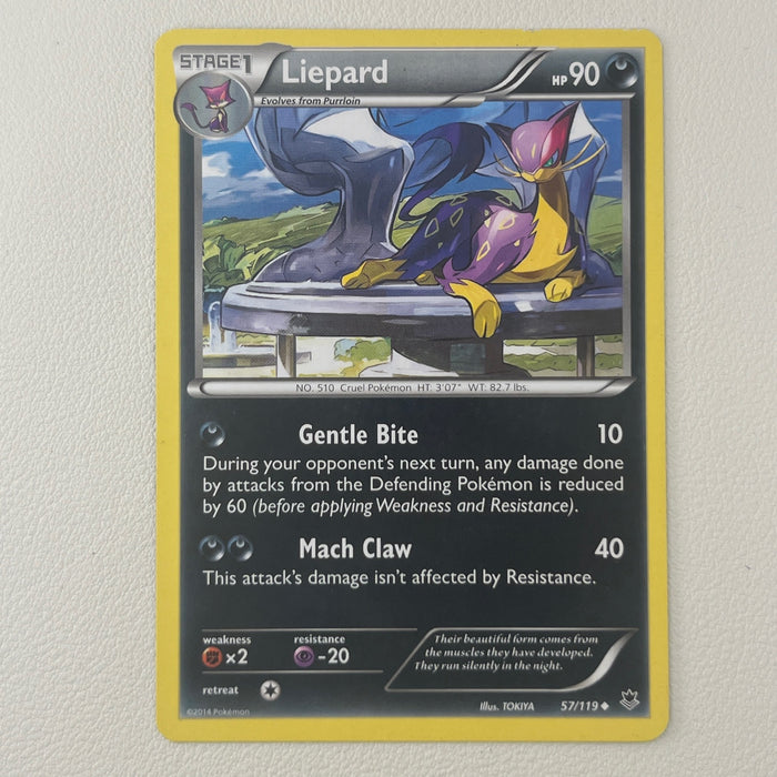 Liepard - Phantom Forces 57/119