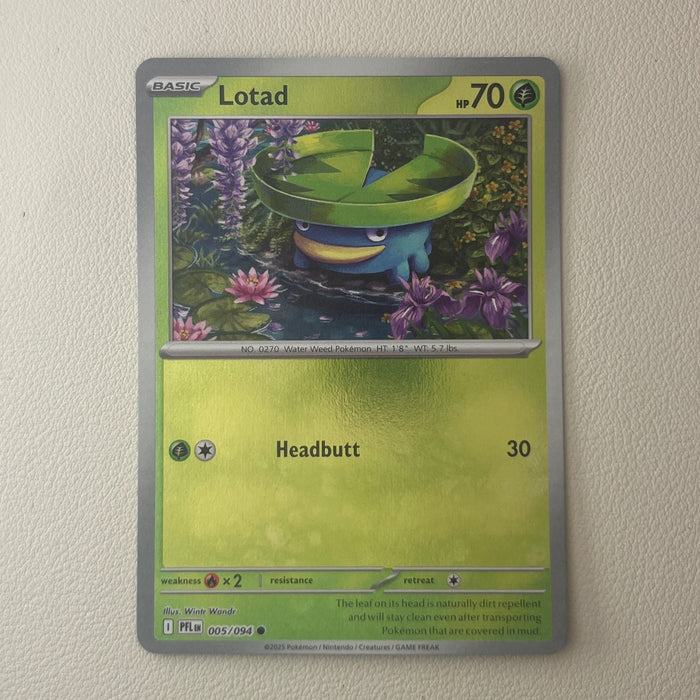 Lotad - Reverse Holo - Phantasmal Flames 005/094
